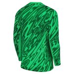 maglia da portiere nike stadium del psg 2024-25 con stampa personalizza Collezione | Kit e Maglie PSG