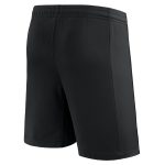 pantaloncini psg x jordan terzo stadio 2023-24 – bambini Collezione | Kit e Maglie PSG