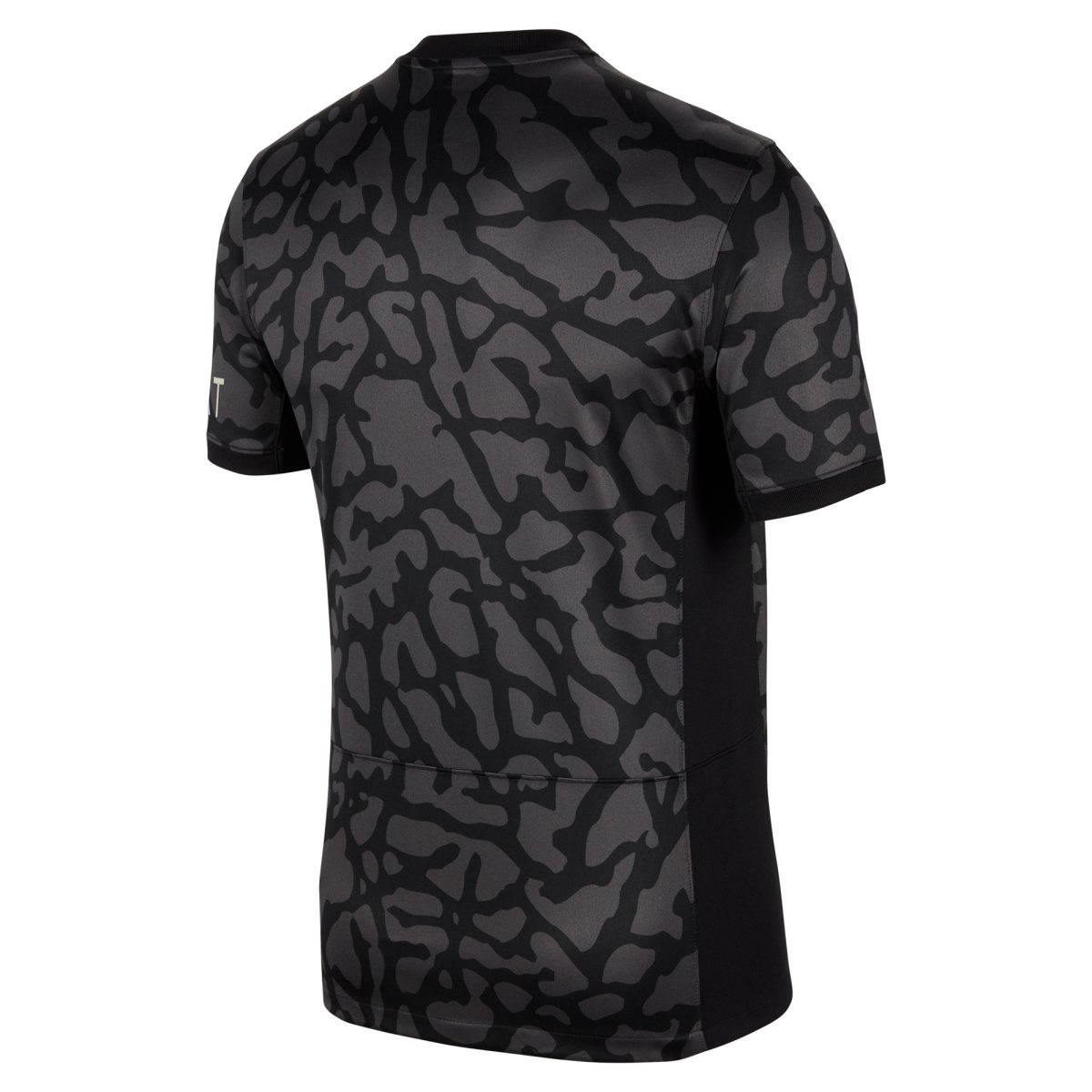 psg x jordan third stadium shirt 2023-24 con stampa personalizza Collezione | Kit e Maglie PSG